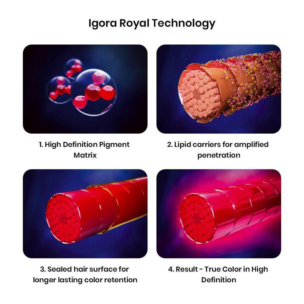 Schwarzkopf Igora Royal L-89