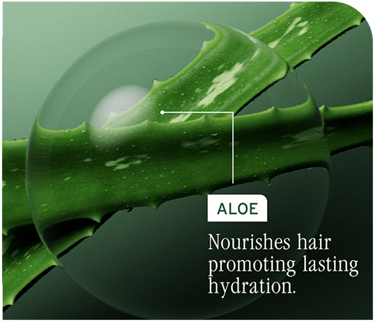 Biolage Hydra Source Conditioning Balm 