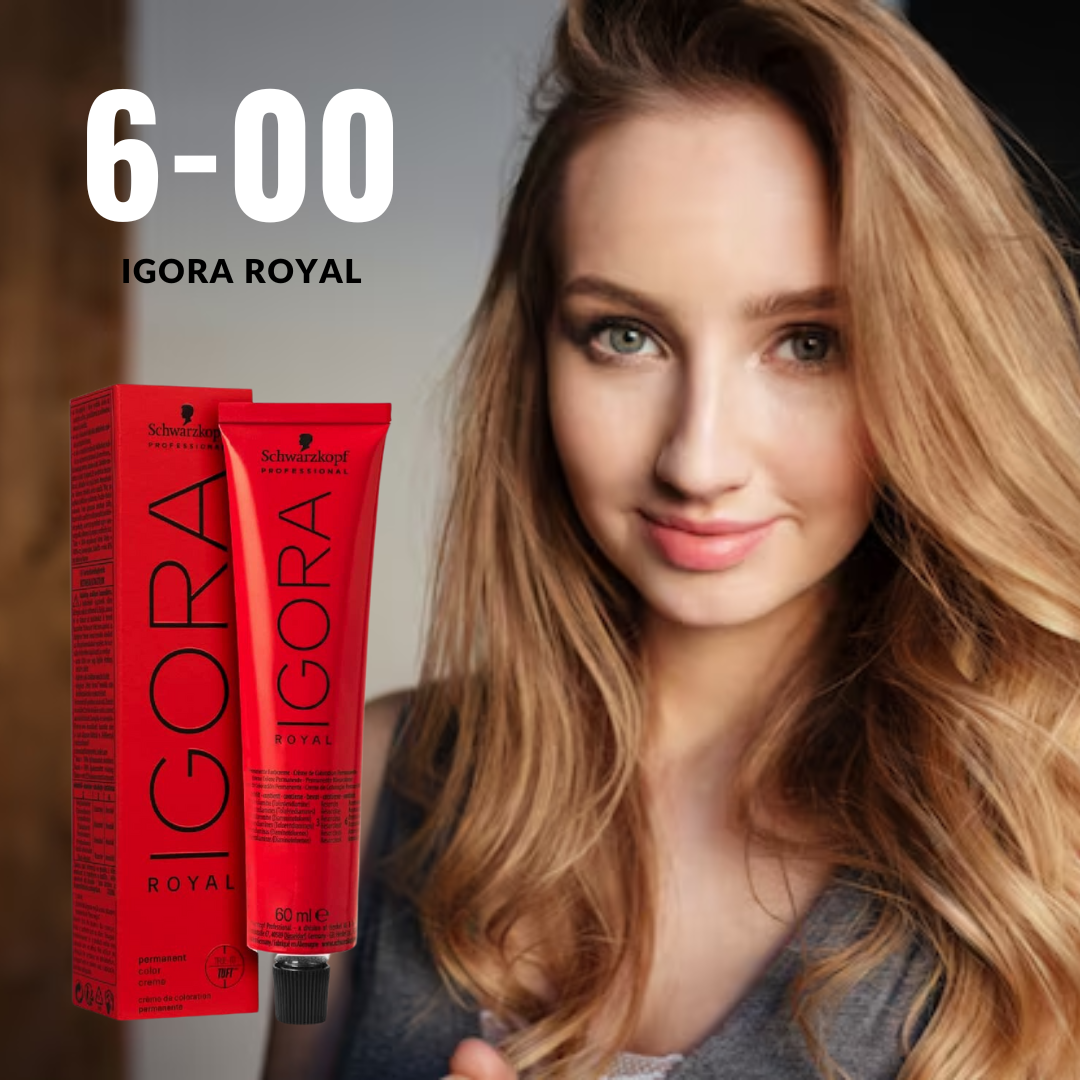 Igora 6-00 Dark Blonde Natural Extra