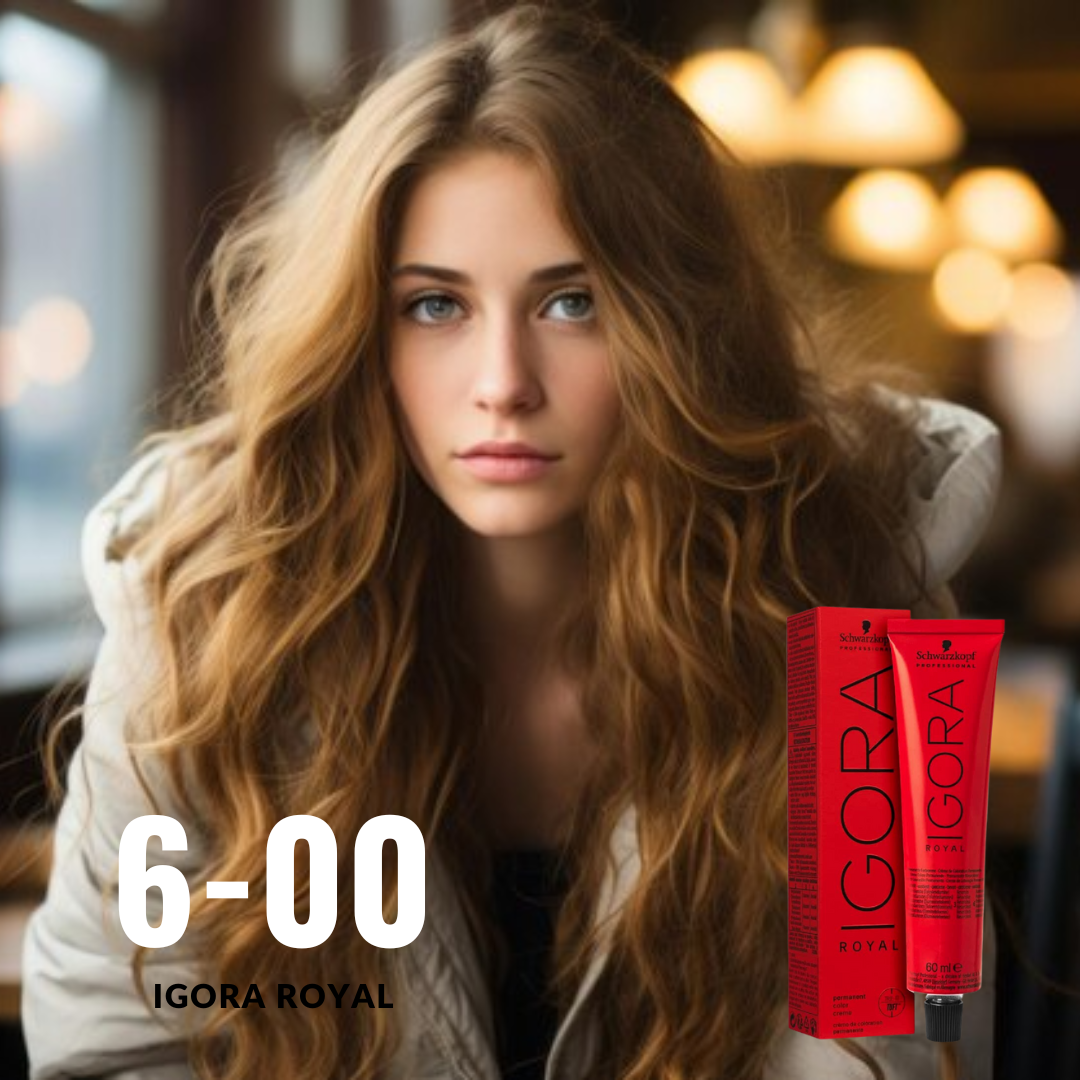 Igora 6-00 Dark Blonde Natural Extra