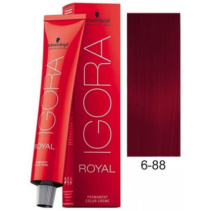 Schwarzkopf - Igora Royal Permanent Hair Color  6-88