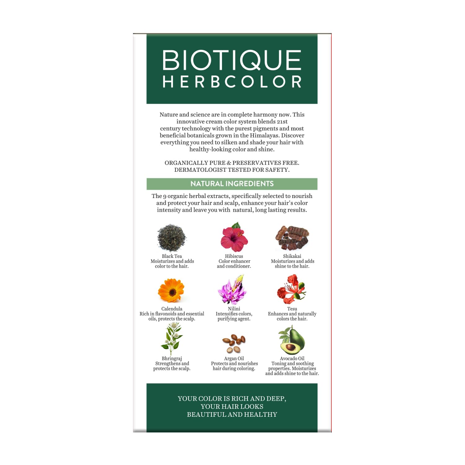 Biotique Herbcolor 3N Darkest Brown