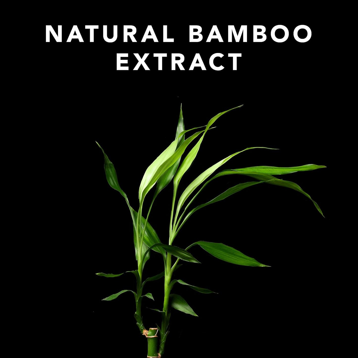 Sebastian Volupt Natural Bamboo Extract