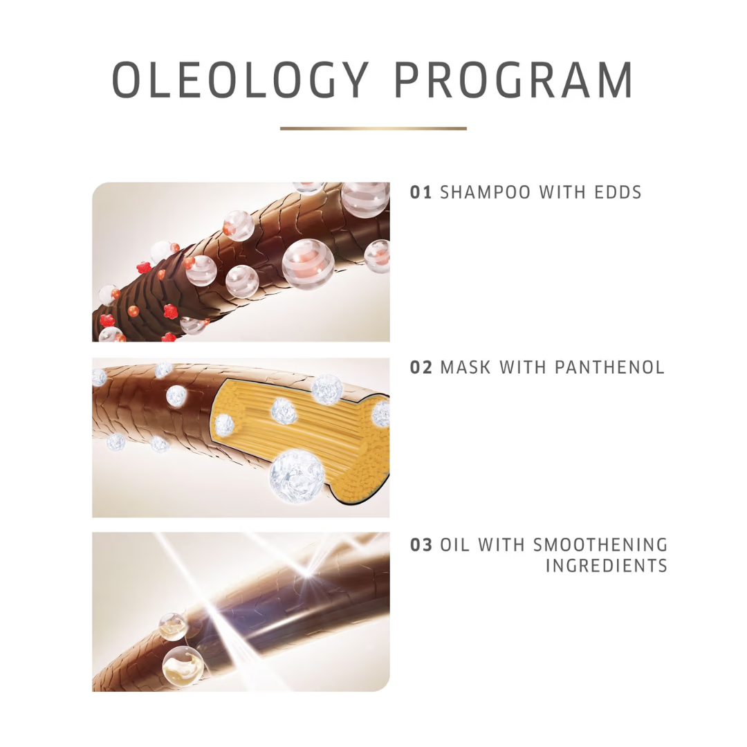 Oleology Programe