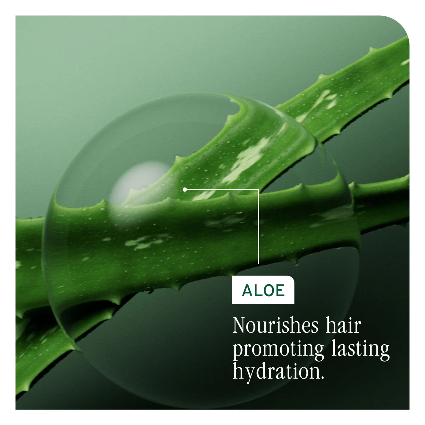 Biolage Hydra Source Mask