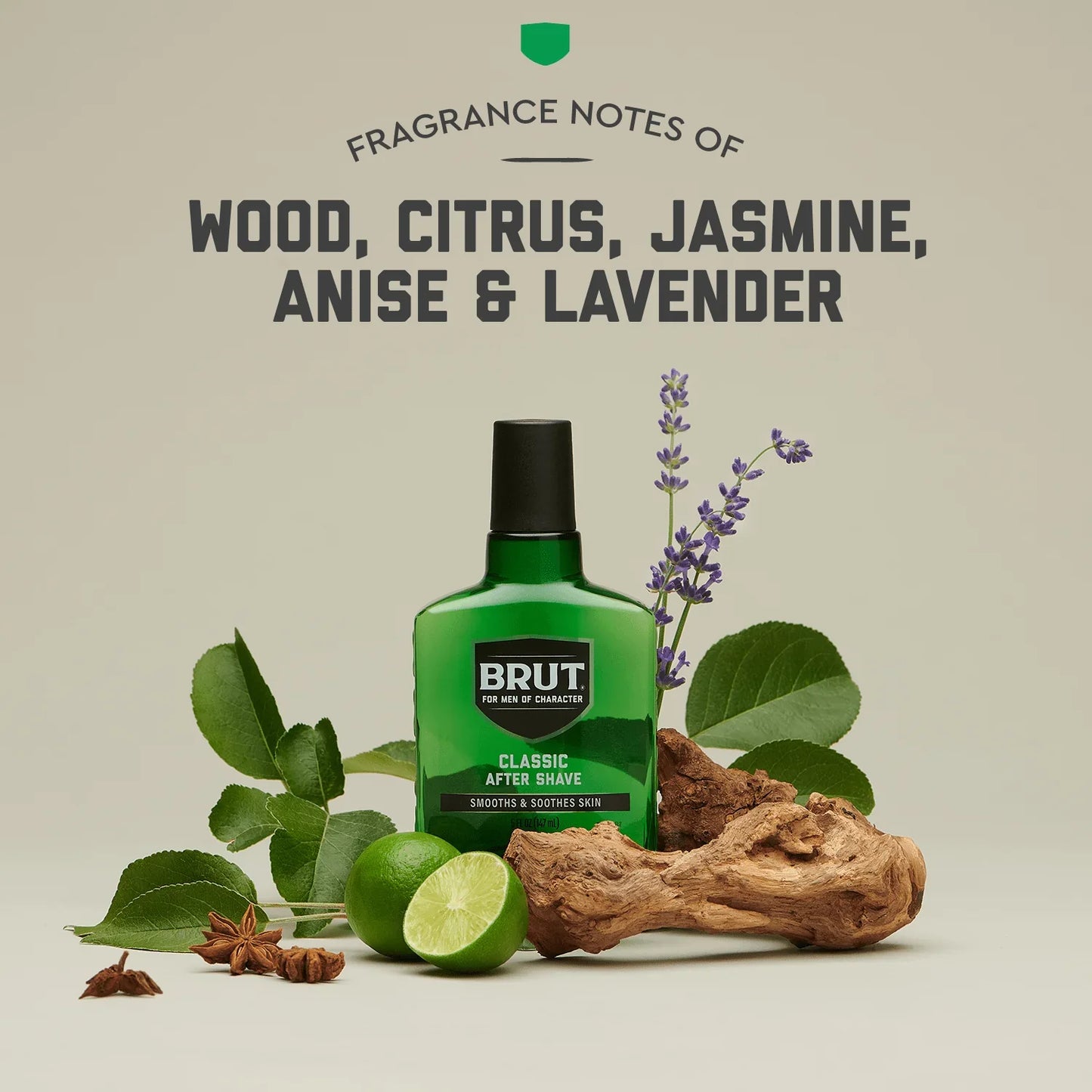 Brut Classic After Shave Lotion