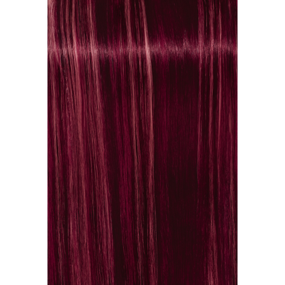 Igora Royal Fashion Lights L-89