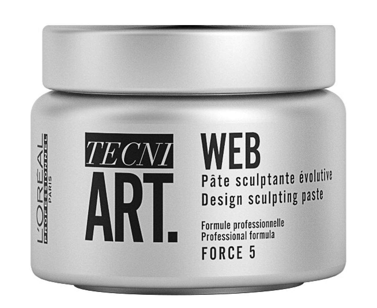 L'Oreal Tecni Art Web Force 5