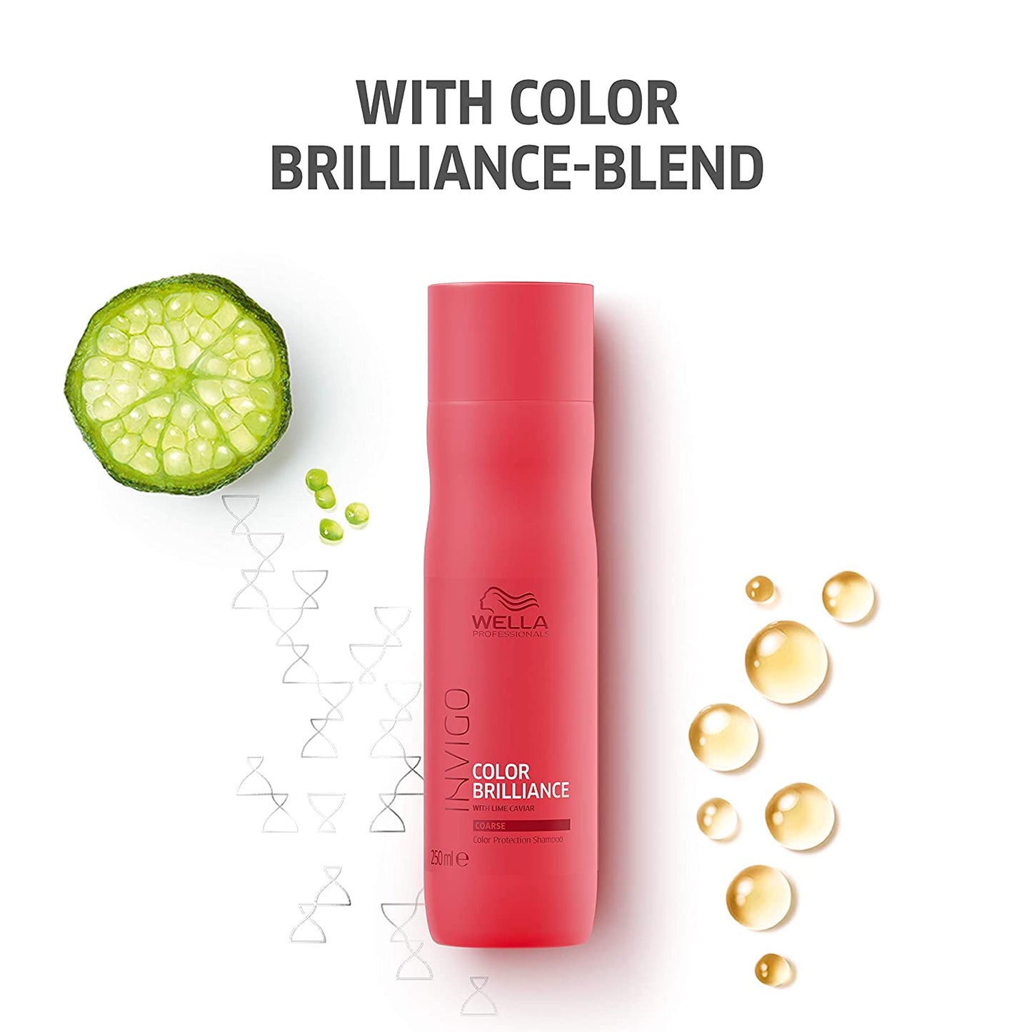 Wella Professionals Invigo Color Brilliance Shampoo for Fine/Normal Hair (Also Suitable for Colored Hair), 250 ml