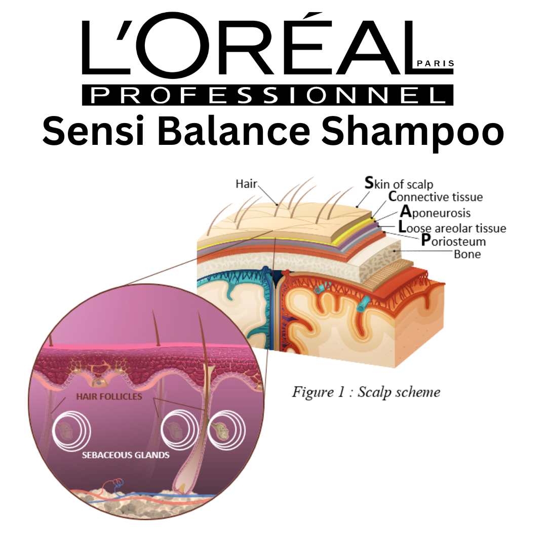 Loreal Sensi Balance Shampoo